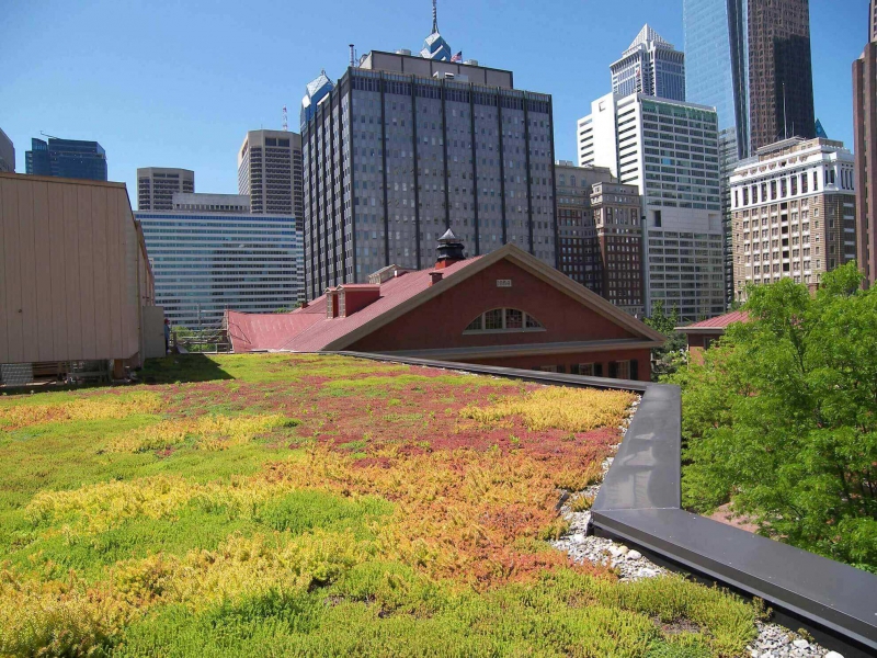 paysagiste-LE CANNET DES MAURES-min_green-roof-portfolio-4